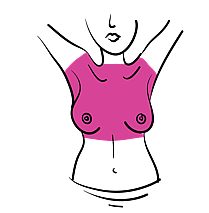 Check from the collarbone down to the base of your sternum and out into your armpits