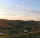 Raniu Ora Retreats