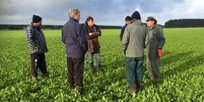 Crop inspection