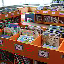 Sport at Renwick School