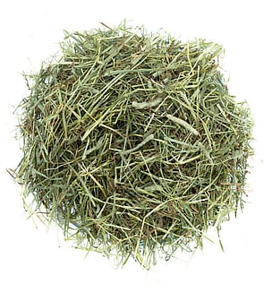 Starter Pack - Timothy Hay - PRICE $9.99- - - - - - - - - -ADD TO CART >