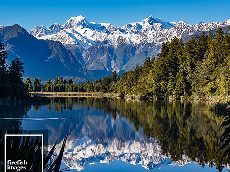 Lake Matheson Reflection 16"x20"
