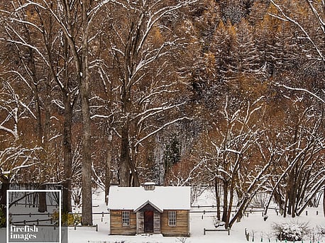 Arrowtown Old Gold Store Winter 16"x20"