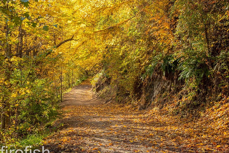 Arrow River Walk in Autumn