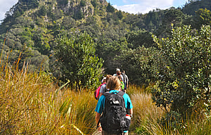 Environmental Policy, Planning and Sustainability in New Zealand