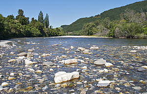 Restoration Ecology and Ecosystem Management in New Zealand