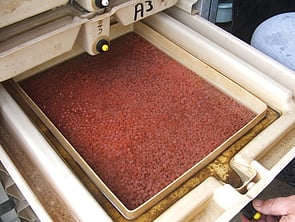 Incubation Tray
