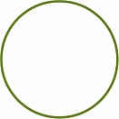 Vegetables and Herbs