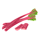 Contact Amber Garden Centre for your rhubarb plants