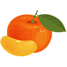 Contact Amber Garden Centre for your mandarin trees