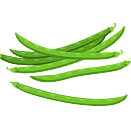 Contact Amber Garden Centre for your beans plants