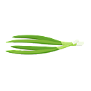Contact Amber Garden Centre for your spring onion plants