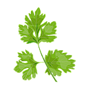 Contact Amber Garden Centre for your parsley plants