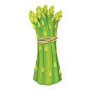 Contact Amber Garden Centre for your asparagus plants