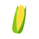 Contact Amber Garden Centre for your sweet corn plants