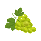 Contact Amber Garden Centre for your grape vines