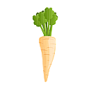 Contact Amber Garden Centre for your parsnip plants