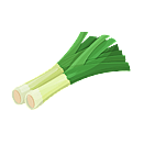 Contact Amber Garden Centre for your leeks plants