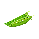 Contact Amber Garden Centre for your peas plants