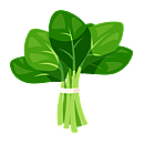 Contact Amber Garden Centre for your spinach plants