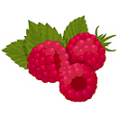 Contact Amber Garden Centre for your rasberry plants