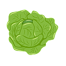 Contact Amber Garden Centre for your lettuce plants