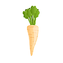 Contact Amber Garden Centre for your parsnip plants