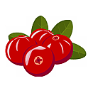 Contact Amber Garden Centre for your cranberry plants