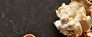 Caesarstone