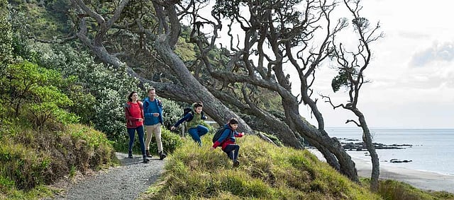 Mangawhai Cliffs Walkway - Moderately steep with many steps