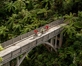 Mangapurua Track | Mountains to Sea Great Ride