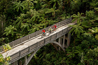 Mangapurua Track - Grade 3* | 36kms | 5 - 7 hours