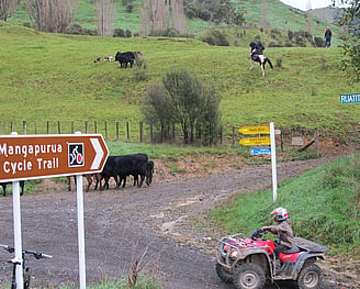 Ruatiti Connector - Grade 3 | 45kms | 3 -5 hours