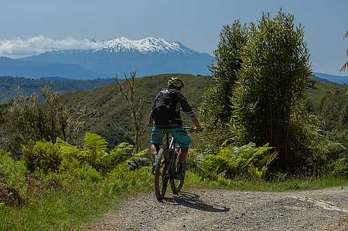 The Classic Experience - 231 kms of Classic Kiwi Riding | Grade 3