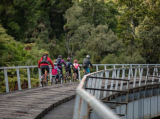 Ohakune Old Coach Road - Grade 3 | 15km | 2-4 hours