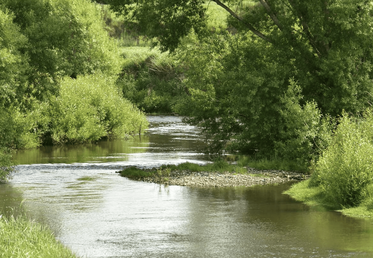 Three Rivers Nz Three Rivers | Thriving Southland