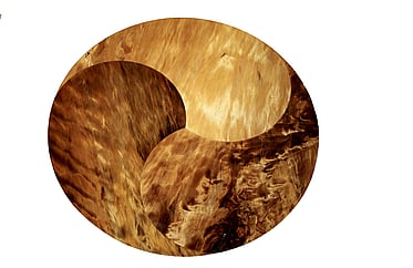 Kauri coffee table