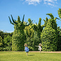 The Surrealist Garden at Hamilton Gardens