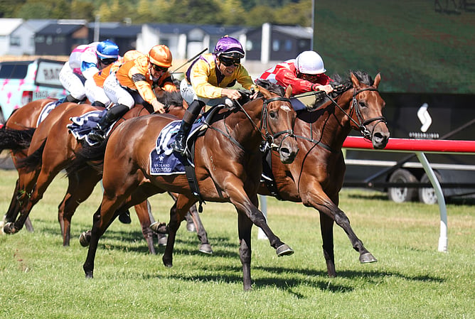 Ultimate Habit winning the Gr.2 Jennian Homes Lowland Stakes (2100m) at Trentham on Saturday.