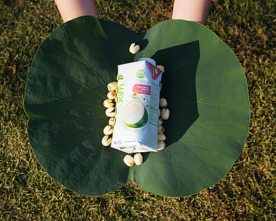 coconut water