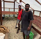 Solomon cacao farmers