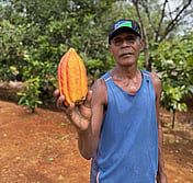 Solomon cacao farmer