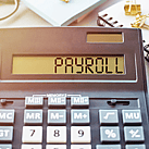 PAYROLL & PAYE