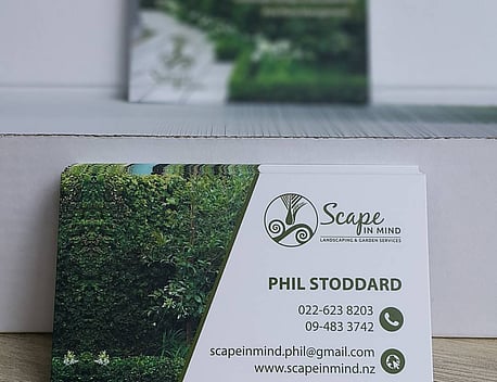 Scape in Mind - PRINT, DIGITAL