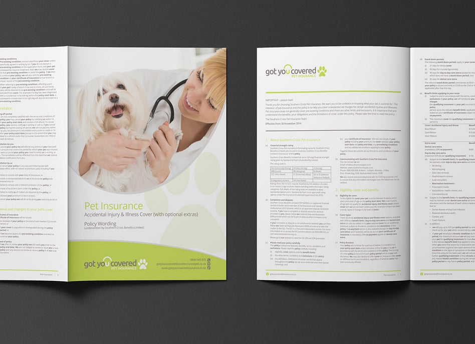 A3 Policy Documents