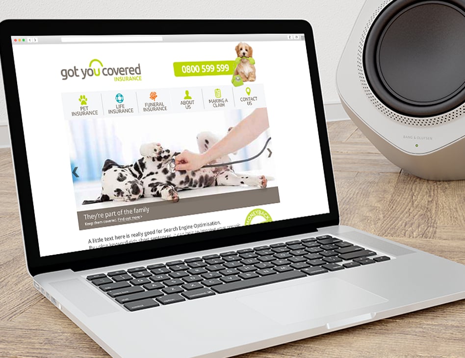 Website Design