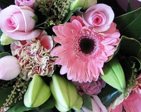 Blooms | Bouquets | Fresh Picks | Petals