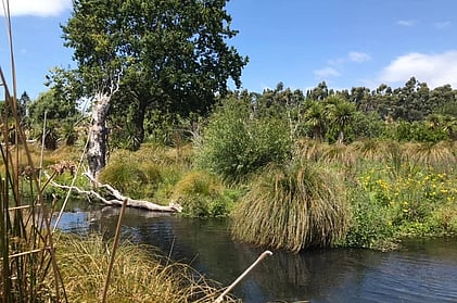 Te Awa Kaputahi