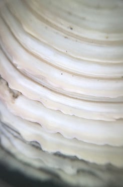 Skin News Blog