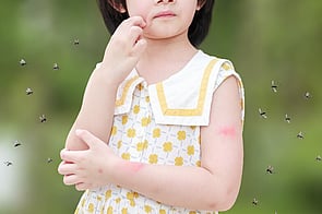 Insect Repellent